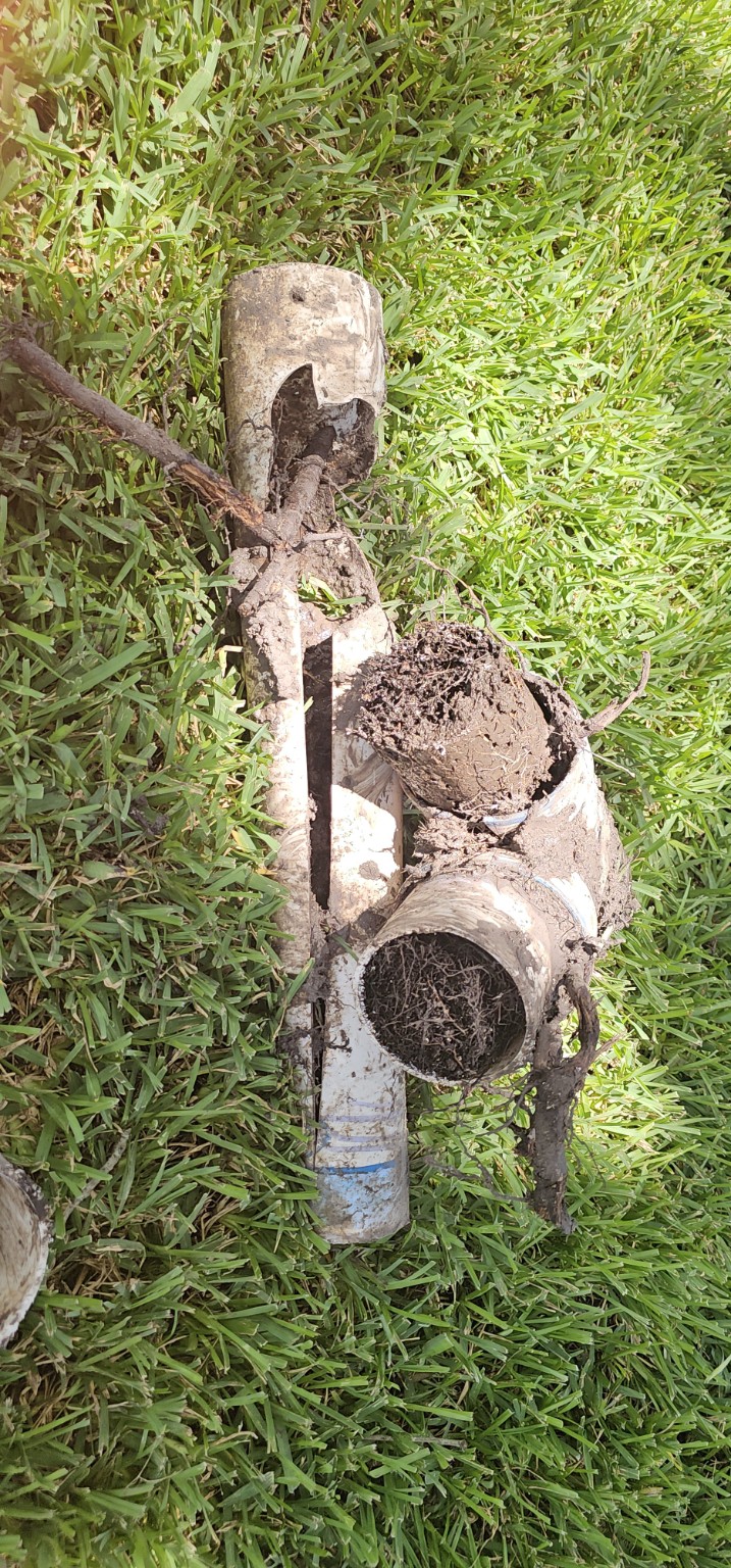 Root balls blocking an existing yard drain system